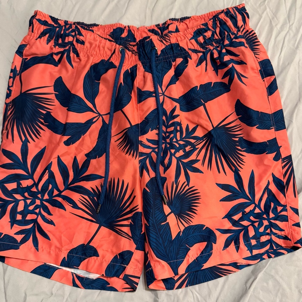 Ike Behar Orange and Navy Swim Shorts